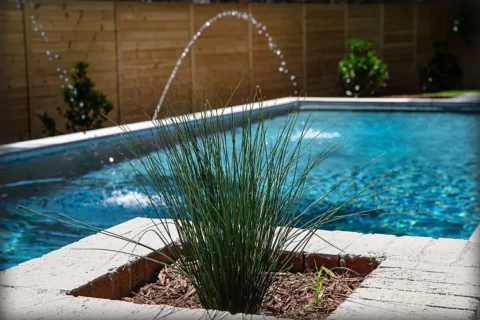 The Daniel St Project